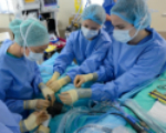 Clinical Vet Student Surgery