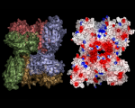 Biochemistry3_150x120px