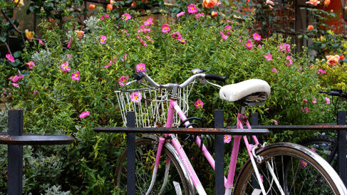 Bike 590x288
