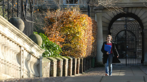 Student on bridge