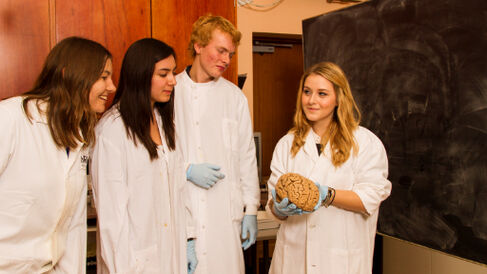 Psychology student with brain