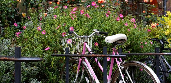Bike 590x288 Bike 590x288